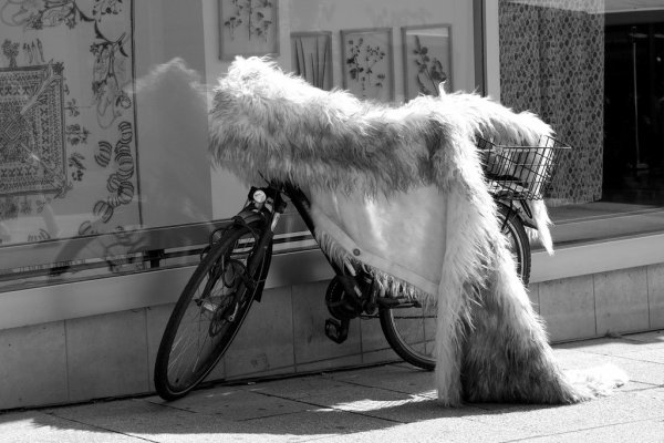 34 Fahrradpelz